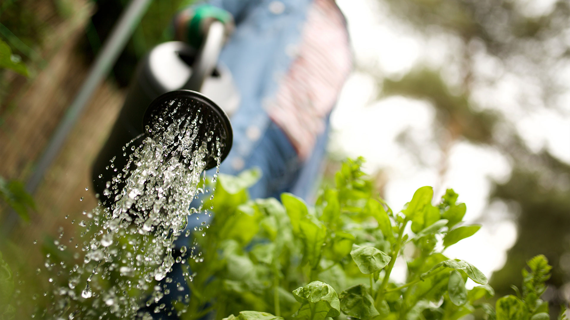 El agua está… ahora debemos gestionarla.